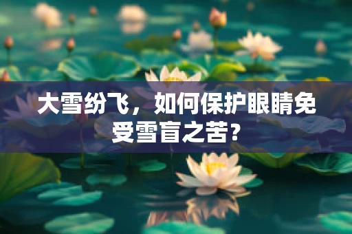 大雪纷飞，如何保护眼睛免受雪盲之苦？