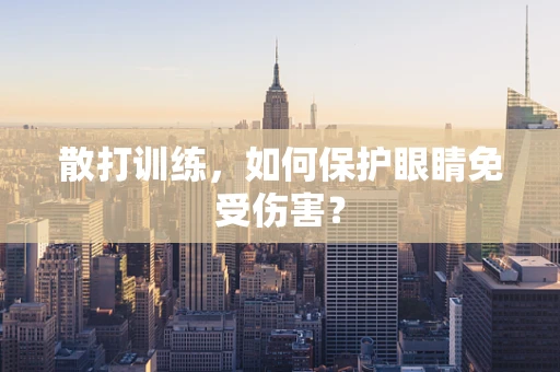 散打训练，如何保护眼睛免受伤害？