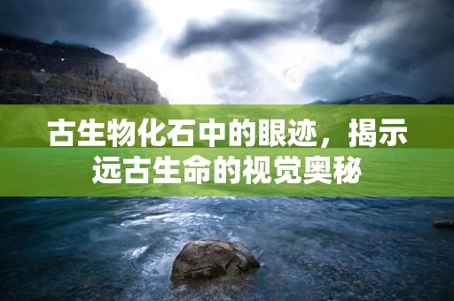 古生物化石中的眼迹，揭示远古生命的视觉奥秘