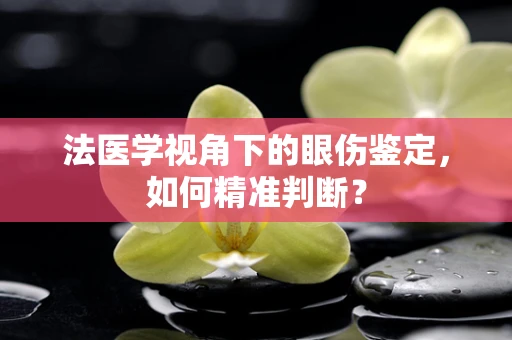 法医学视角下的眼伤鉴定，如何精准判断？