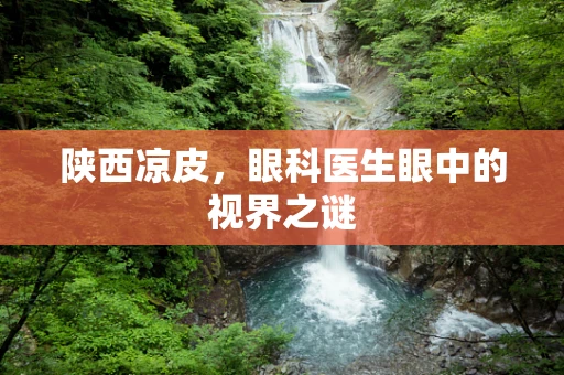 陕西凉皮，眼科医生眼中的视界之谜