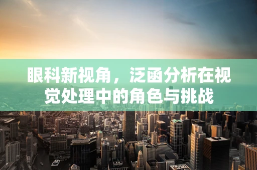 眼科新视角，泛函分析在视觉处理中的角色与挑战