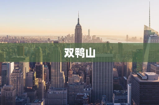 双鸭山