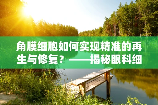 角膜细胞如何实现精准的再生与修复？——揭秘眼科细胞生物学的奥秘