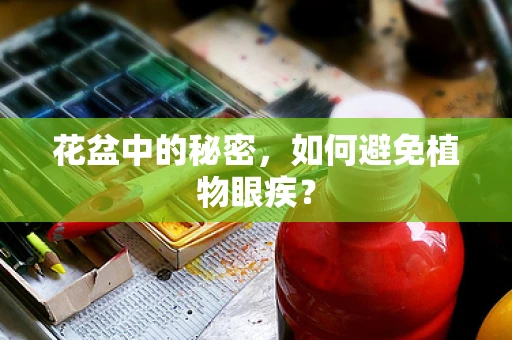 花盆中的秘密，如何避免植物眼疾？