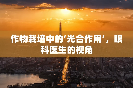 作物栽培中的‘光合作用’，眼科医生的视角