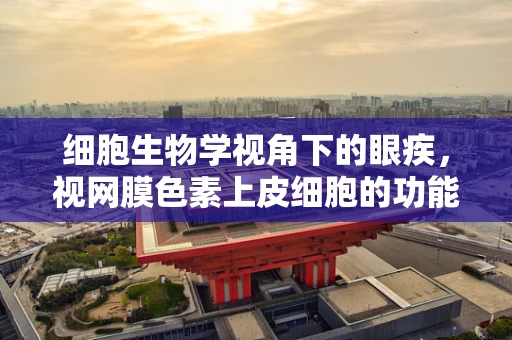 细胞生物学视角下的眼疾，视网膜色素上皮细胞的功能与挑战