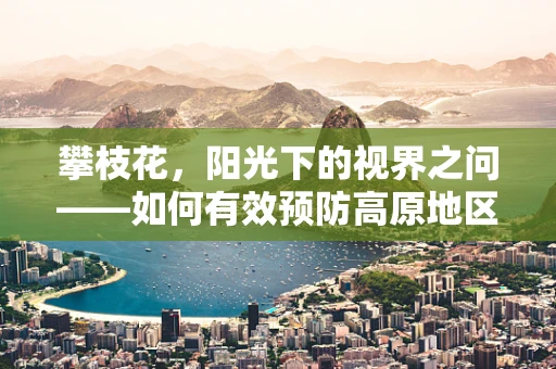 攀枝花，阳光下的视界之问——如何有效预防高原地区儿童眼疾？