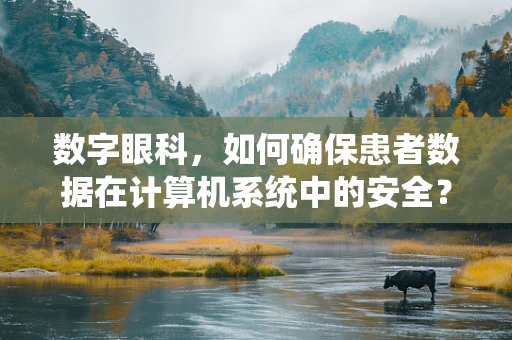 数字眼科，如何确保患者数据在计算机系统中的安全？