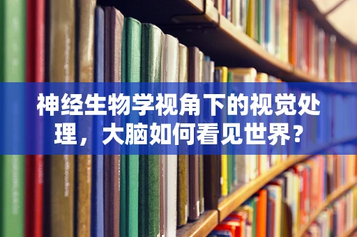 神经生物学视角下的视觉处理，大脑如何看见世界？