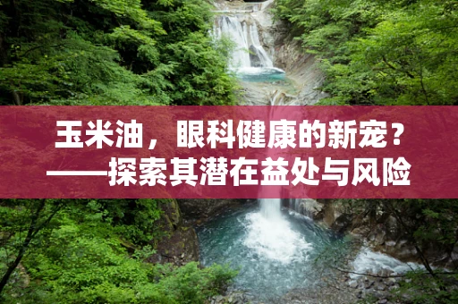 玉米油，眼科健康的新宠？——探索其潜在益处与风险