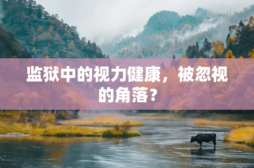 监狱中的视力健康，被忽视的角落？