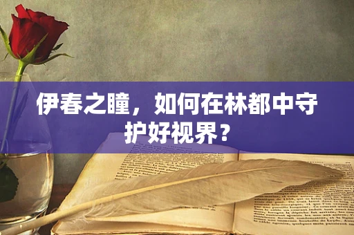 伊春之瞳，如何在林都中守护好视界？