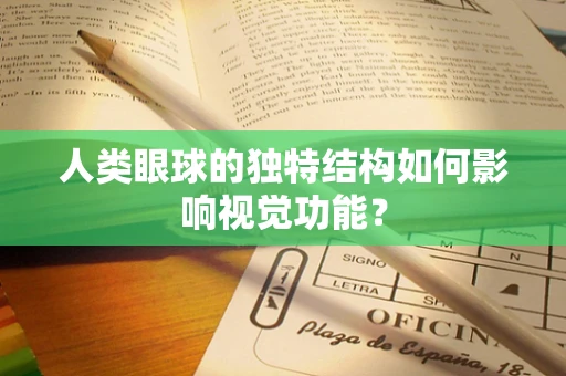 人类眼球的独特结构如何影响视觉功能？