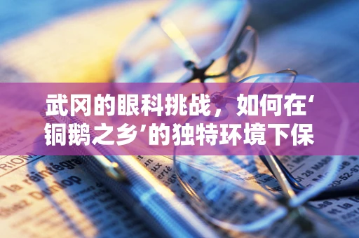 武冈的眼科挑战，如何在‘铜鹅之乡’的独特环境下保护视力？