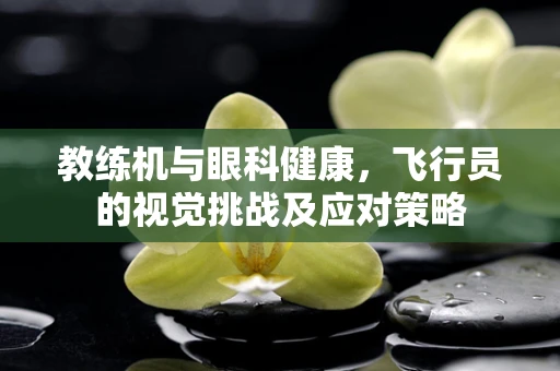 教练机与眼科健康，飞行员的视觉挑战及应对策略