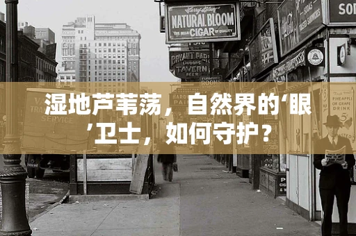 湿地芦苇荡，自然界的‘眼’卫士，如何守护？