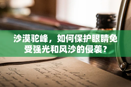 沙漠驼峰，如何保护眼睛免受强光和风沙的侵袭？