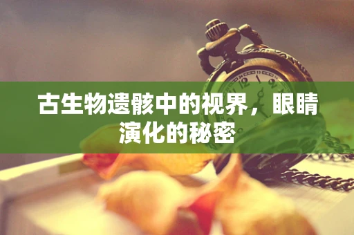 古生物遗骸中的视界，眼睛演化的秘密