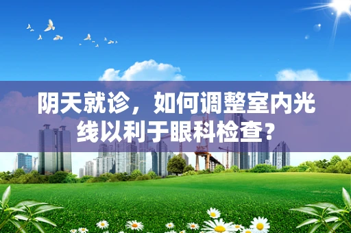 阴天就诊，如何调整室内光线以利于眼科检查？