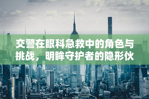 交警在眼科急救中的角色与挑战，明眸守护者的隐形伙伴？