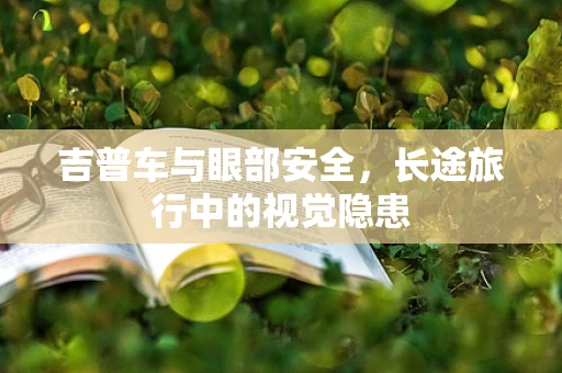 吉普车与眼部安全，长途旅行中的视觉隐患