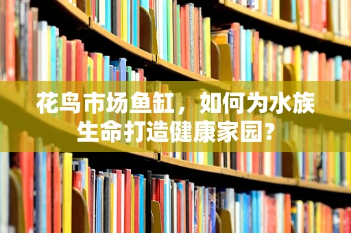 花鸟市场鱼缸，如何为水族生命打造健康家园？