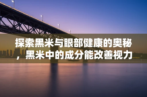 探索黑米与眼部健康的奥秘，黑米中的成分能改善视力吗？