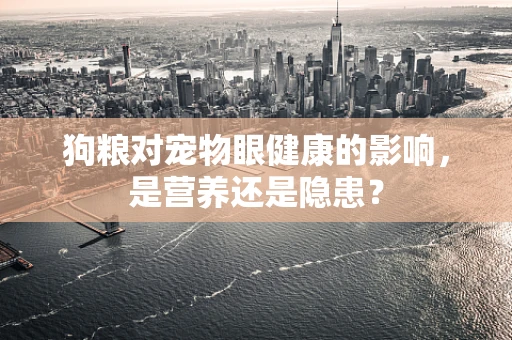 狗粮对宠物眼健康的影响，是营养还是隐患？