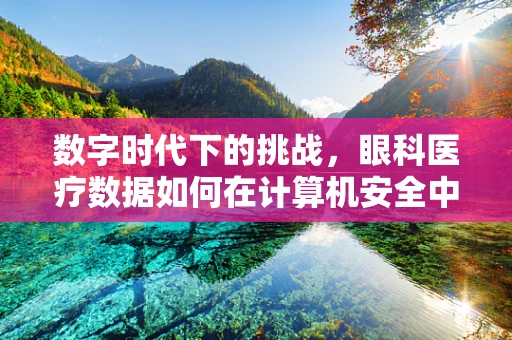数字时代下的挑战，眼科医疗数据如何在计算机安全中‘明眸善睐’？