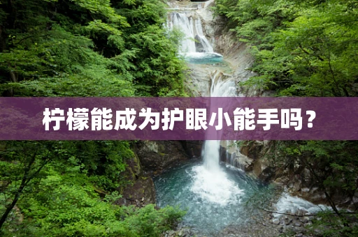 柠檬能成为护眼小能手吗？