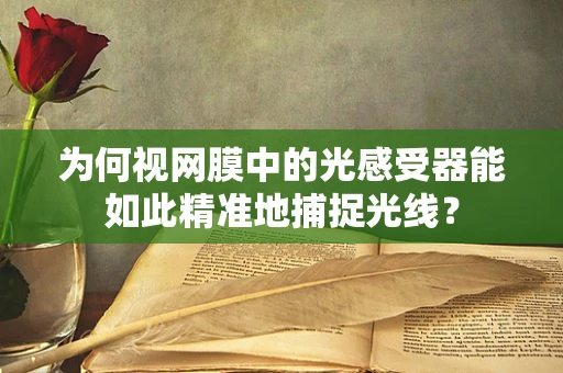 为何视网膜中的光感受器能如此精准地捕捉光线？