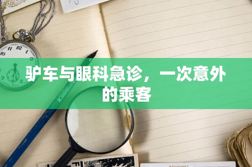 驴车与眼科急诊，一次意外的乘客