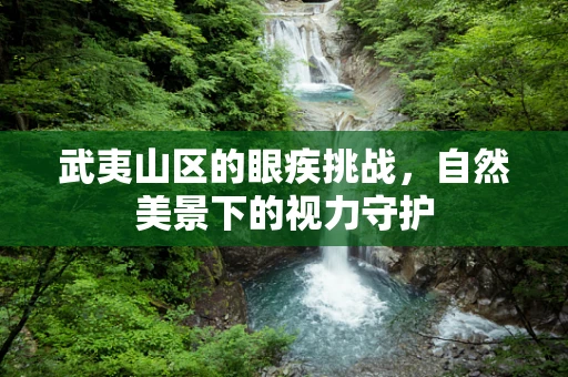 武夷山区的眼疾挑战，自然美景下的视力守护