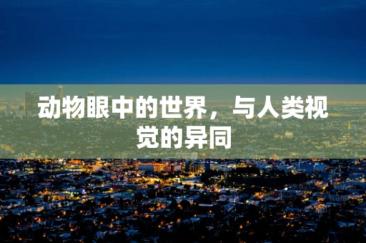 动物眼中的世界，与人类视觉的异同