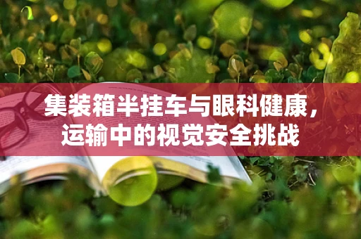 集装箱半挂车与眼科健康，运输中的视觉安全挑战