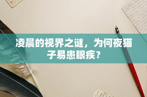 凌晨的视界之谜，为何夜猫子易患眼疾？