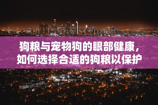 狗粮与宠物狗的眼部健康，如何选择合适的狗粮以保护爱宠视力？