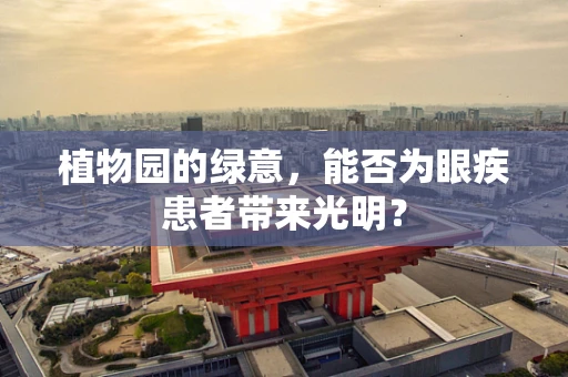植物园的绿意，能否为眼疾患者带来光明？