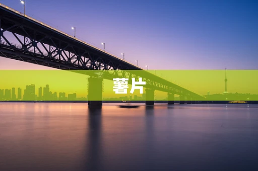 薯片