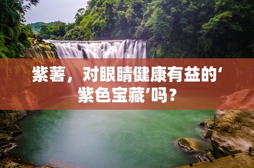 紫薯，对眼睛健康有益的‘紫色宝藏’吗？