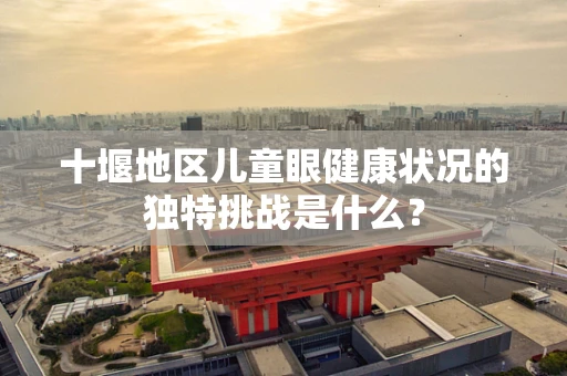 十堰地区儿童眼健康状况的独特挑战是什么？