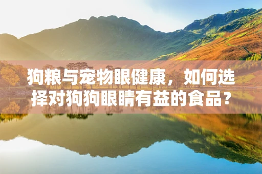 狗粮与宠物眼健康，如何选择对狗狗眼睛有益的食品？