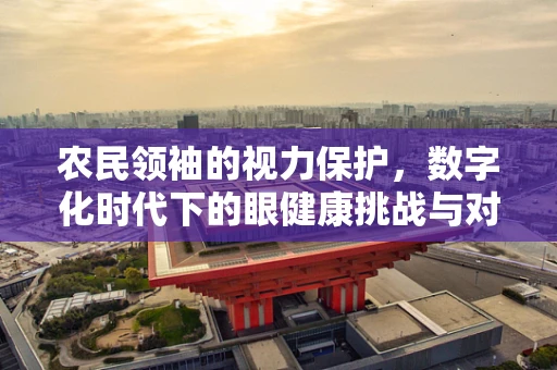 农民领袖的视力保护，数字化时代下的眼健康挑战与对策