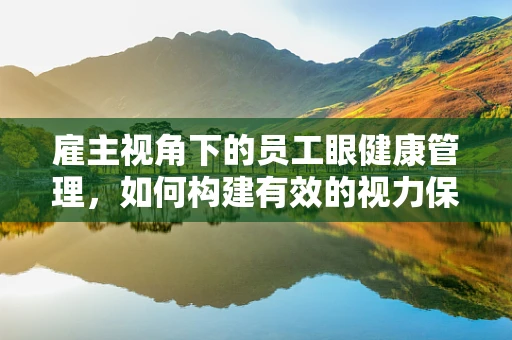 雇主视角下的员工眼健康管理，如何构建有效的视力保障计划？