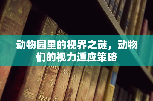 动物园里的视界之谜，动物们的视力适应策略