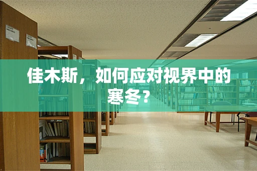 佳木斯，如何应对视界中的寒冬？